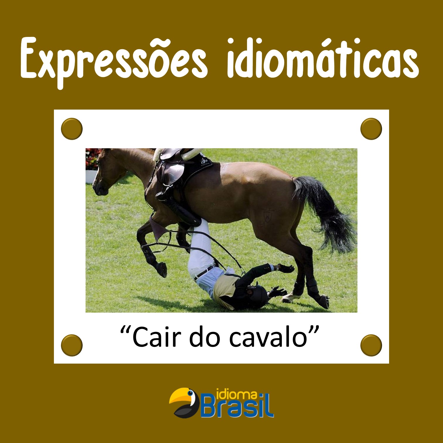 Cair do cavalo – Idioma Brasil – Português para estrangeiros